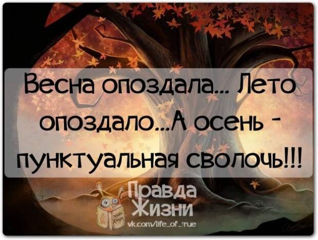 Позитивные фразочки в картинках №7914