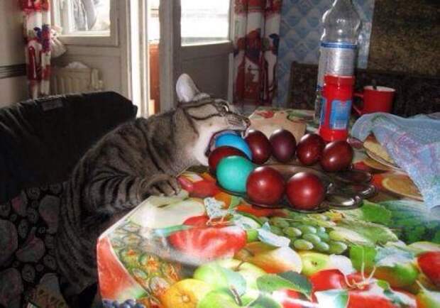 Приколы и позитив