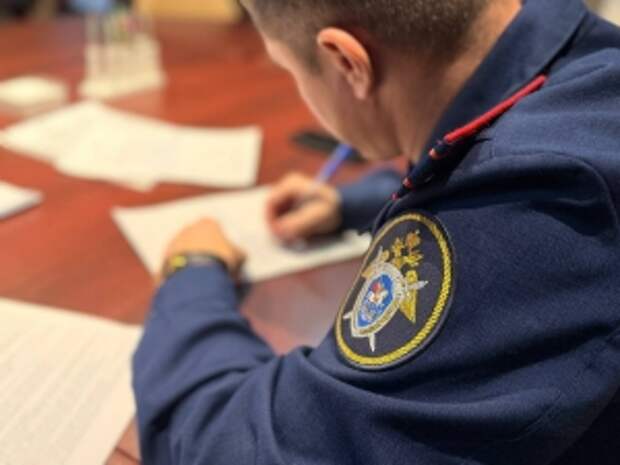 Председателю Следственного комитета России будет представлен доклад о ходе расследования уголовного дела по факту совершения противоправных действий жителем Тверской области