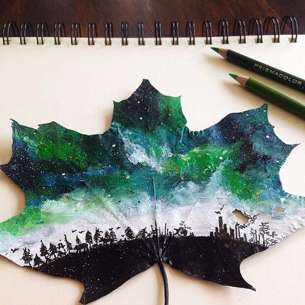 Рисунки на листьях с деревьев Joanna Wirażka