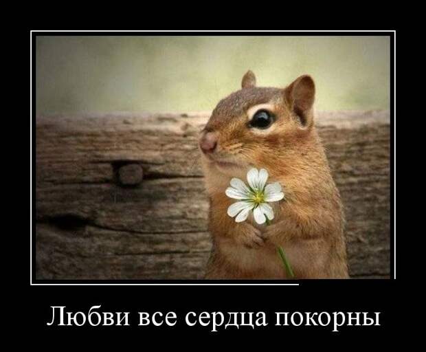 Демотиваторы демотиваторы, прикол, смех, юмор