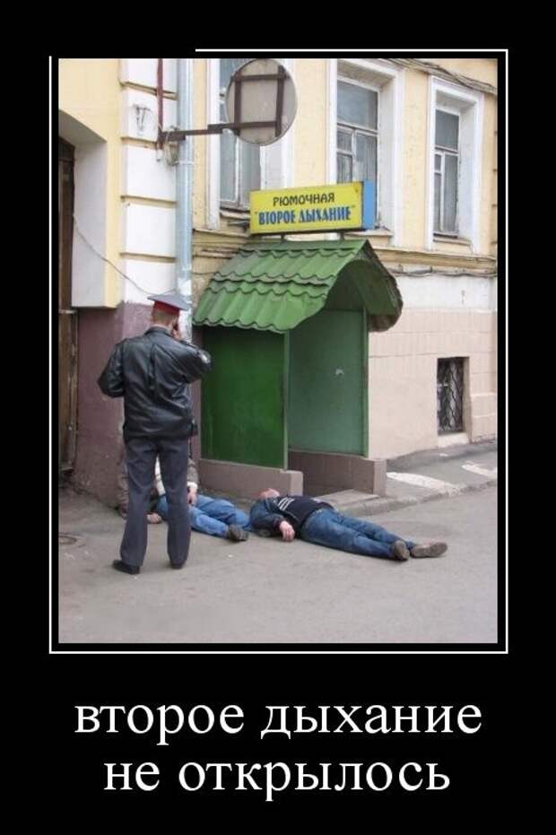 Демотиваторы (30 фото)