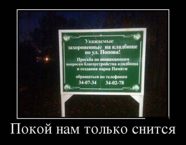 Позитивный пост+16