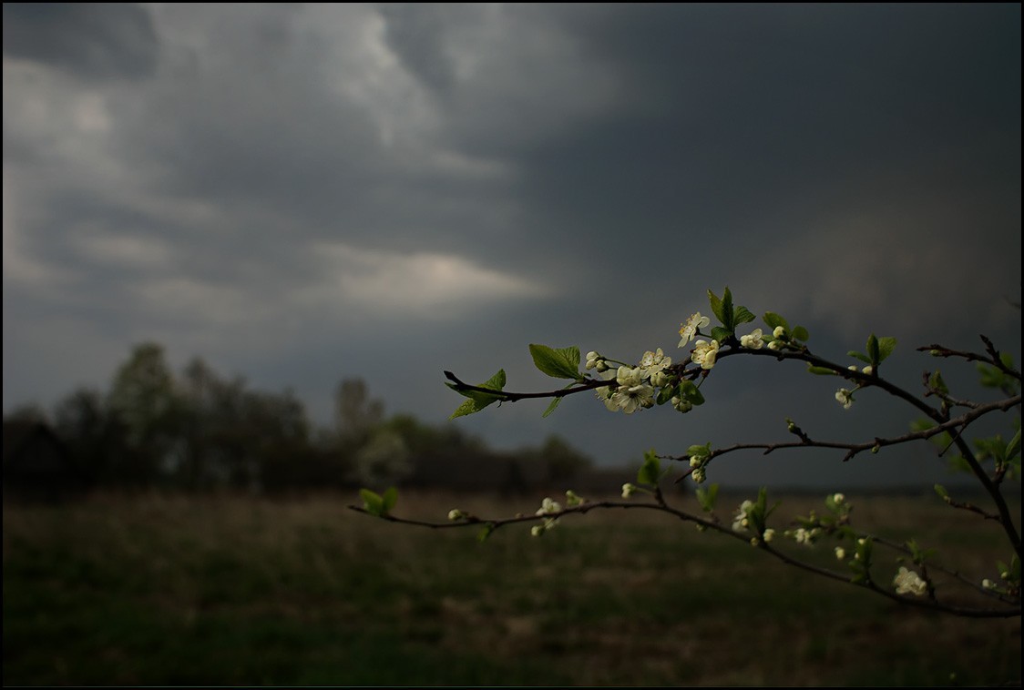 Впечатляющие фотографии грозы Впечатляющие фотографии грозы весна, гроза, фото