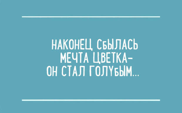 Несколько гениальных перлов из сочинений школьников