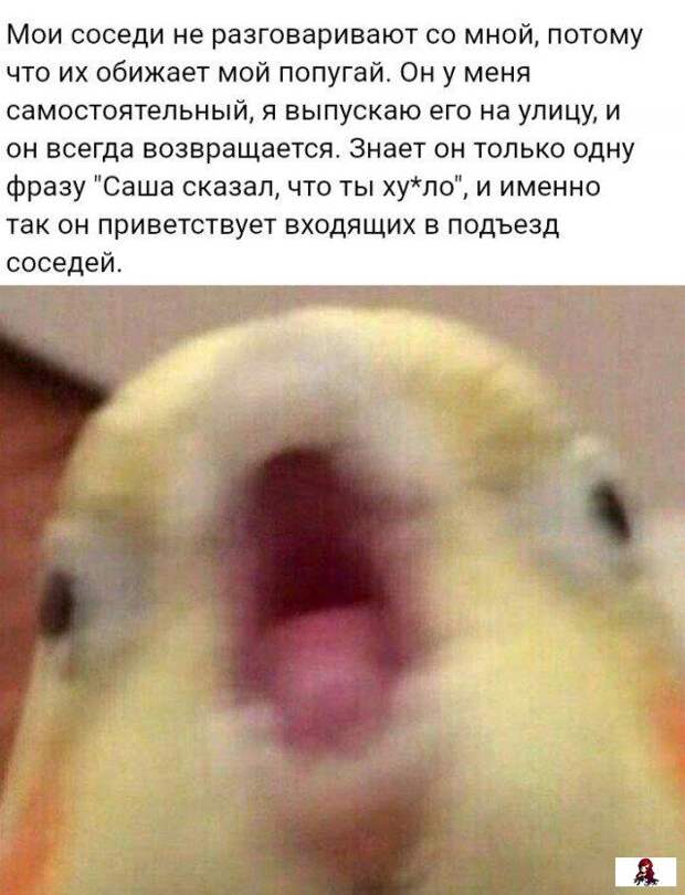 www.vsyako.net