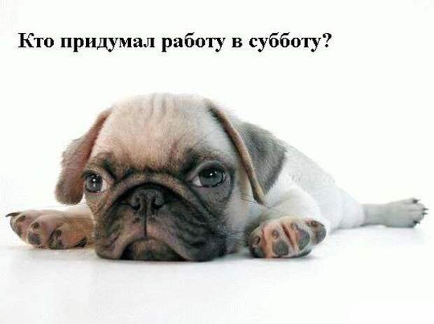 Всяко - разно 11 ))) Всяко - разно 11 )))