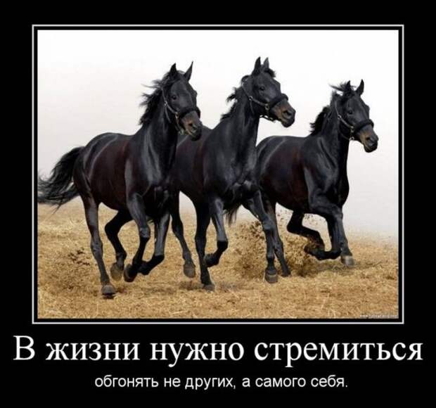 Демотиваторы (30 фото)