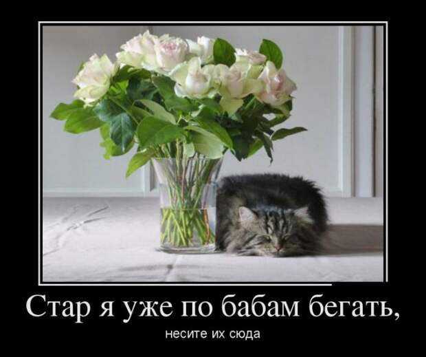 Демотиваторы (30 фото)