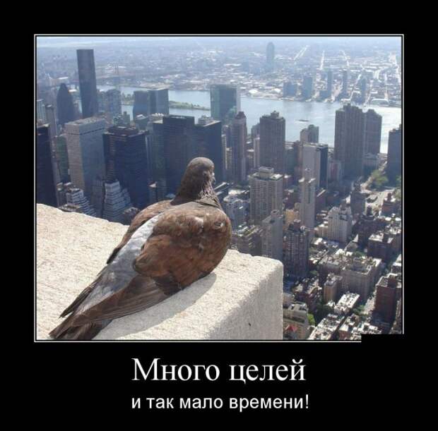 Много целей и так мало времени демотиватор, юмор