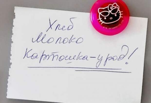 записки от любимых жен 