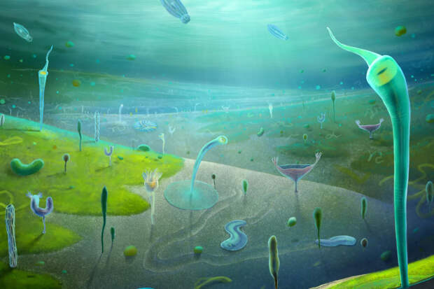 Новая находка ученых в Китае перевернула представления об эволюции живых существ