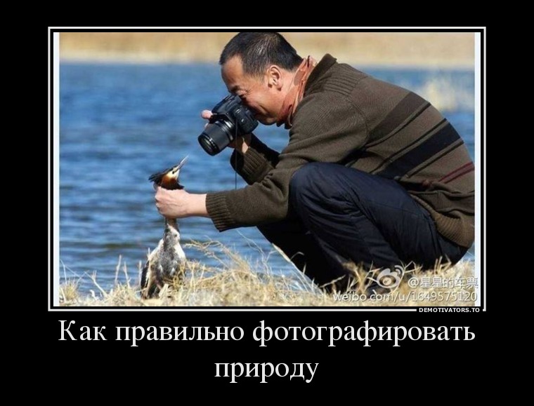 Демотиваторы  демотиваторы, прикол, смех, юмор