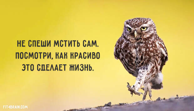 1 (3) (695x400, 242Kb)