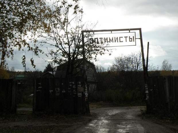 Они объединяются Они объединяются оптимизм, прикол, юмор