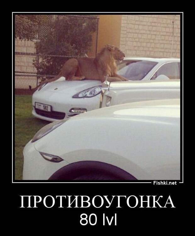 Демотиваторы демотиваторы, прикол, смех, юмор