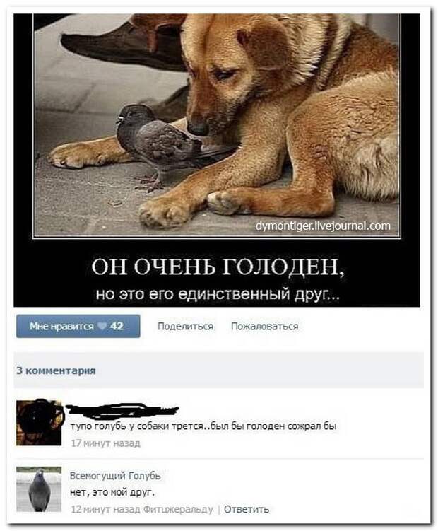 Смешные комментарии из социальных сетей (30 фото) Смешные комментарии из социальных сетей (30 фото)