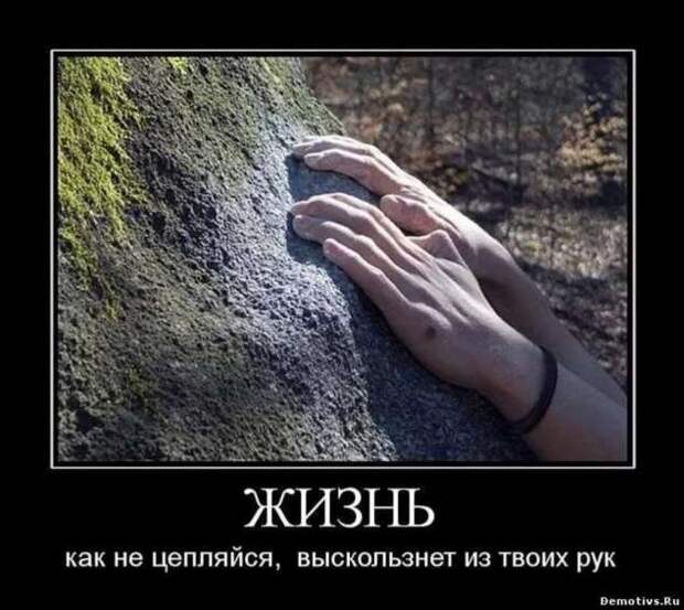 Прикольные демотиваторы с надписями. Подборка chert-poberi-dem-chert-poberi-dem-56520724102020-16 картинка chert-poberi-dem-56520724102020-16