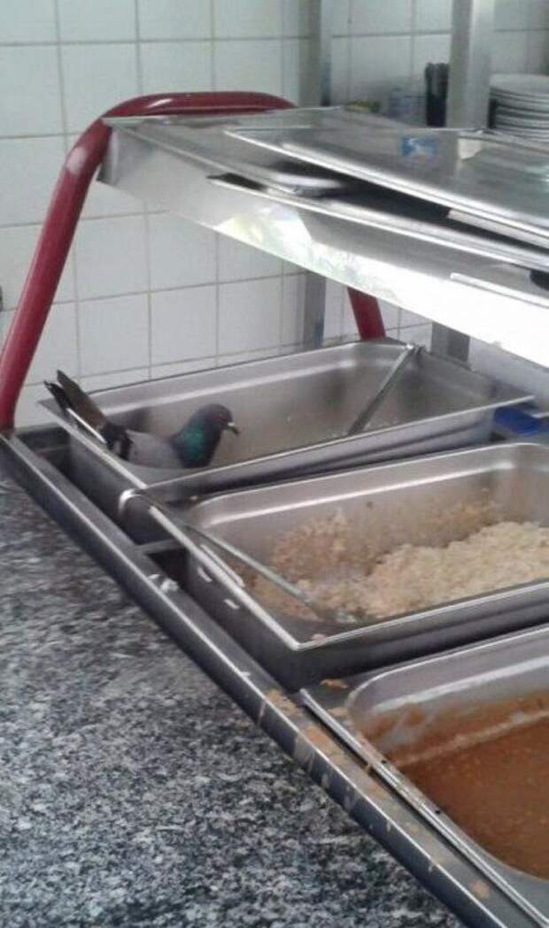 Никакого чуда, просто фото приколы.