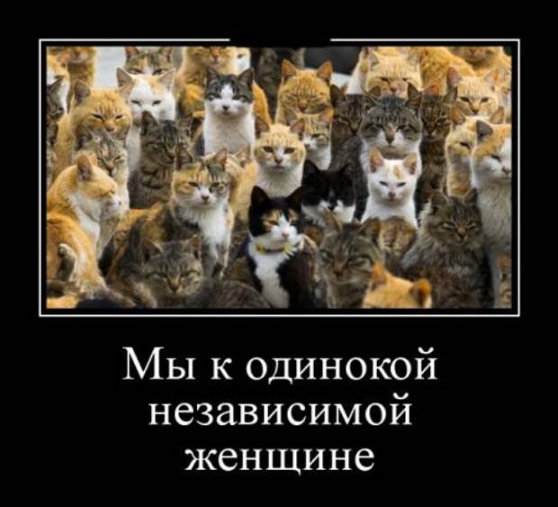 Демотиваторы, время потраченное с пользой для настроения.