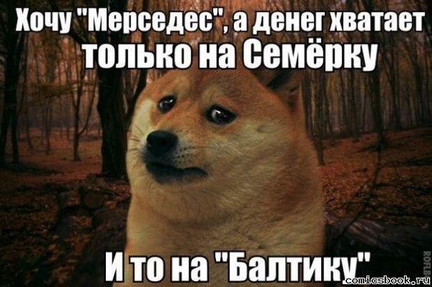 Алкогольный юмор