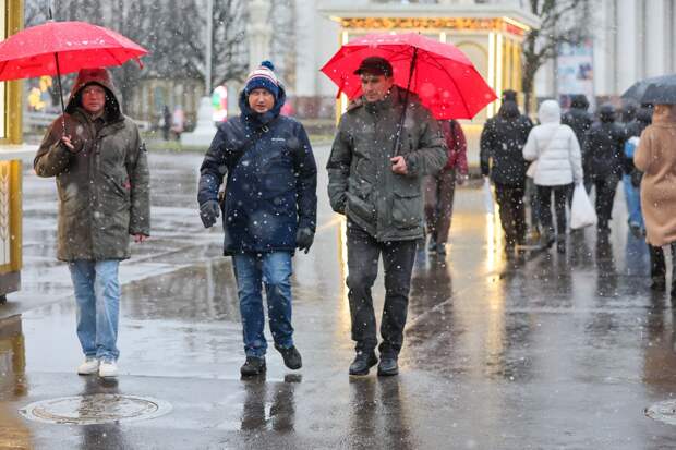 Метеоролог Старков пообещал москвичам оттепель после снегопада