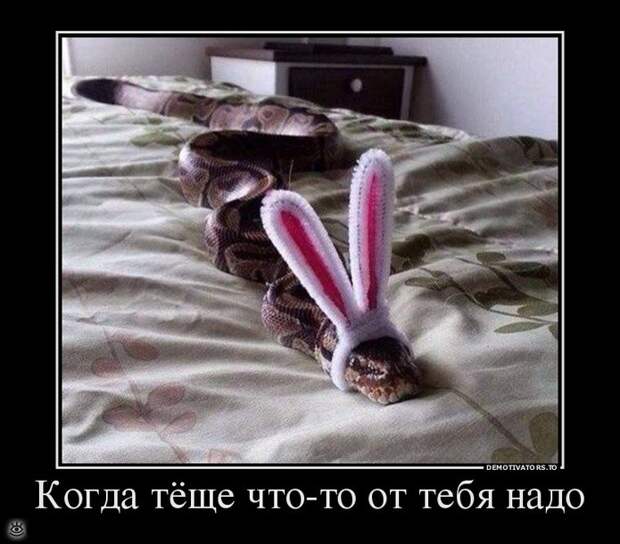Будьте настойчивы! 11