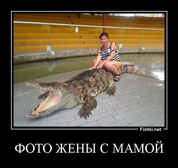 Демотиваторы демотиваторы