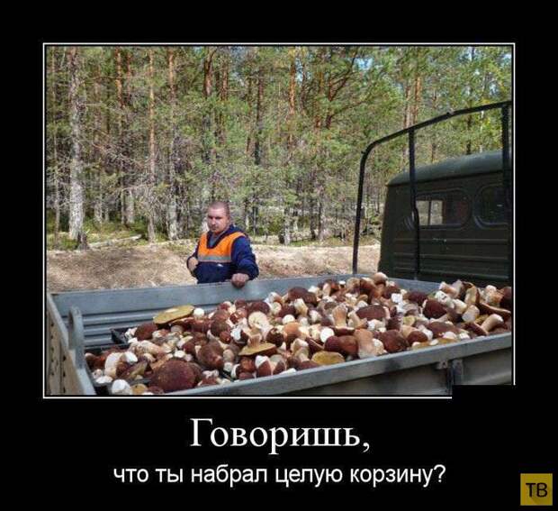 Подборка демотиваторов 12. 09. 2014 (33 фото)
