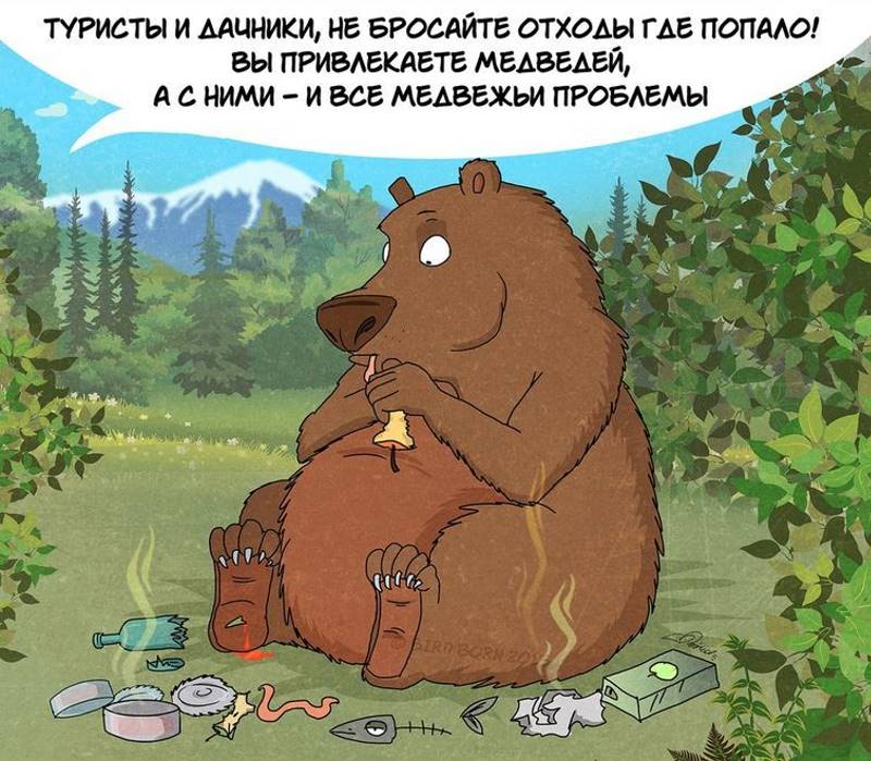 Московский художник нарисовал комикс о правилах поведения с медведями