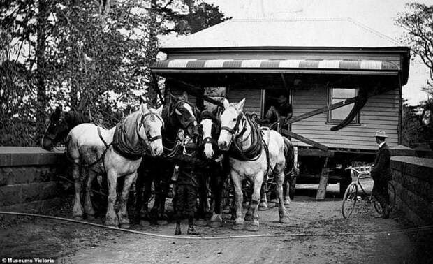 Удивительные редкие фото о том, как раньше передвигали целые дома с помощью лошадей