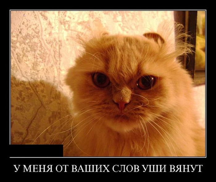 Демотиваторы (30 фото)