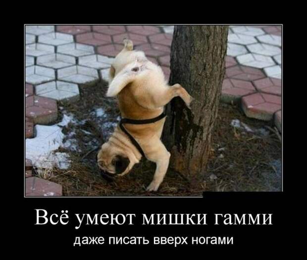 юмор
