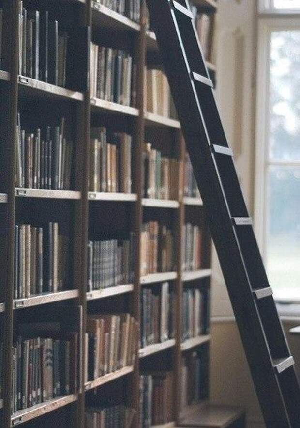 Bookworm library. Фон книги библиотека. Лестница чтения. Размытый фон книжные полки. Ноты на полке в библиотеке.