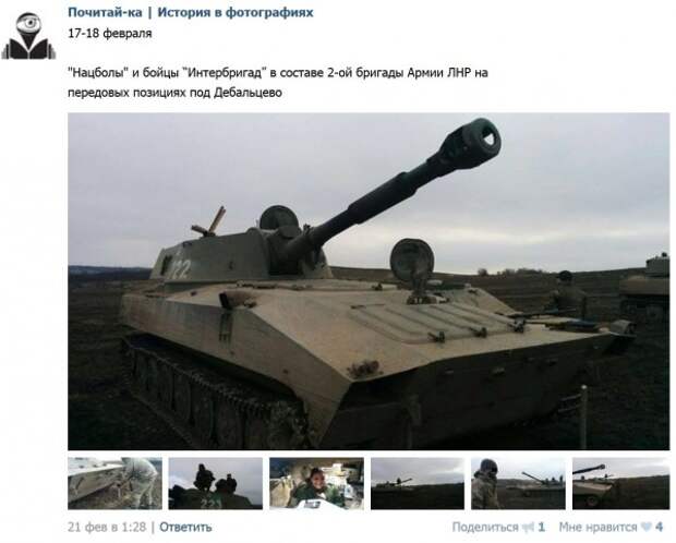 гвоздика ЛНР гсадн