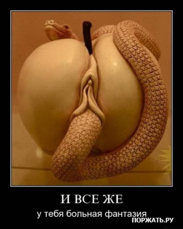 Прикольные демотиваторы, в подборке много новых.