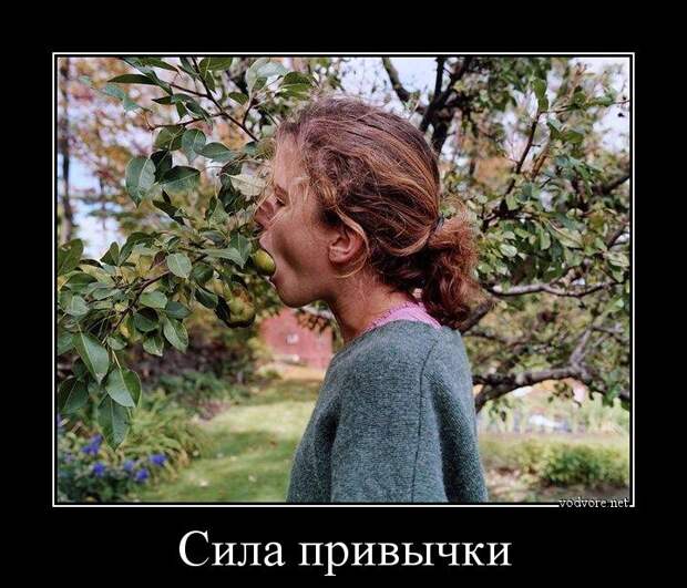 Пикантная подборка демотиваторов для озорного настроения
