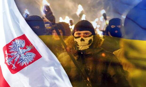 ПОЛЬСКИЙ УЧАСТНИК МАЙДАНА: Я РАЗОЧАРОВАН В УКРАИНЕ ПОЛЬСКИЙ УЧАСТНИК МАЙДАНА: Я РАЗОЧАРОВАН В УКРАИНЕ