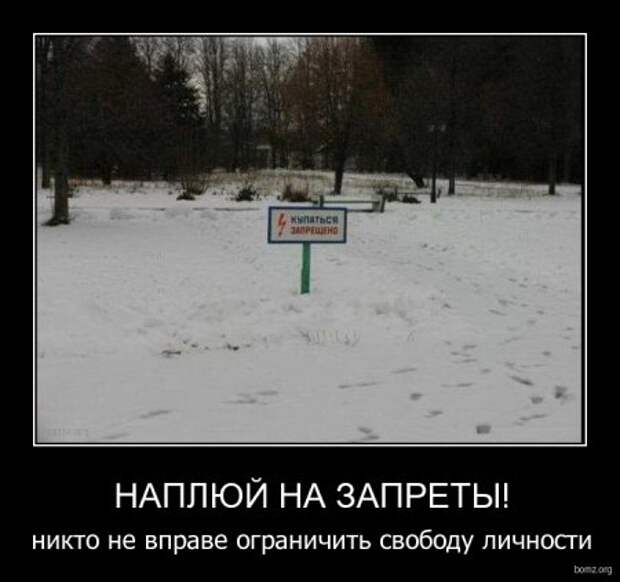 Демотиваторы, приколы без особого смысла.
