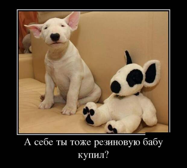 Демотиваторы Демотиваторы демотиваторы, юмор