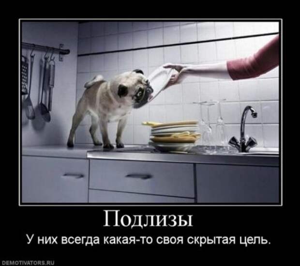 Демотиваторы смысловые.
