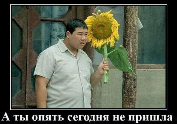 Прикольные картинки