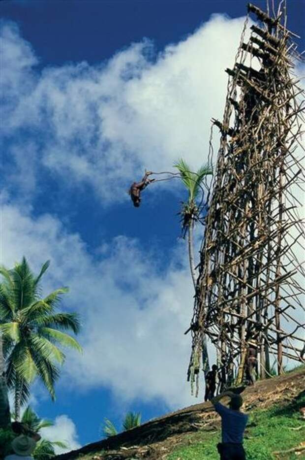 Земля Дайвинг (18 фото + видео) Land Diving (18 pics + video)