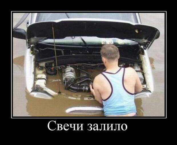 Демотиваторы (133 картинки)
