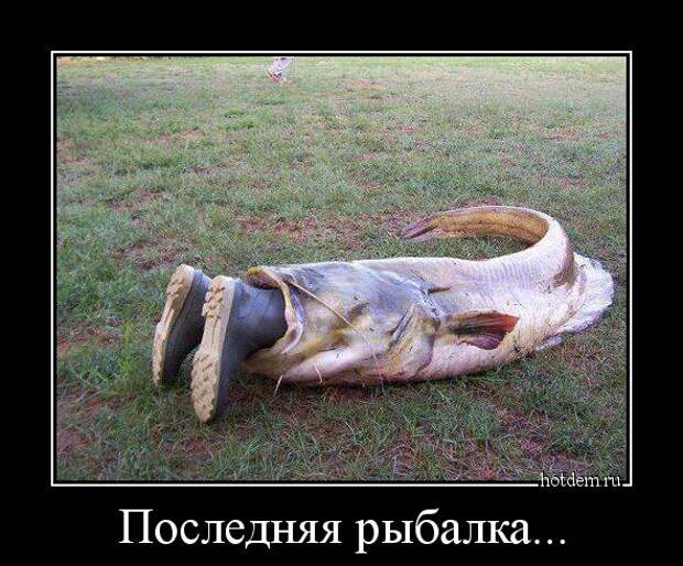 Демотиваторы Демотиваторы демотиваторы, прикол, смех, юмор