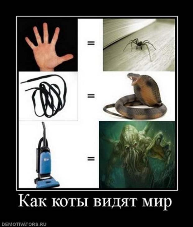 Демотиваторы с приколами на Поржать.ру