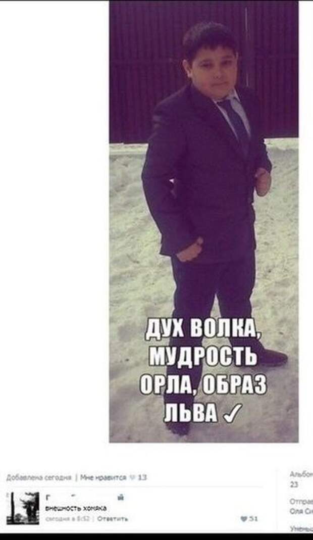 Смешные комментарии из социальных сетей комментарии, прикол, соцсети, юмор