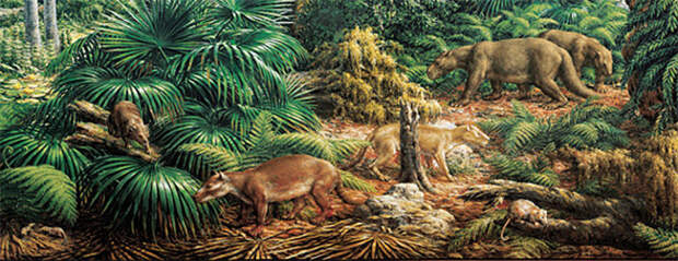Лес эпохи раннего палеоцена