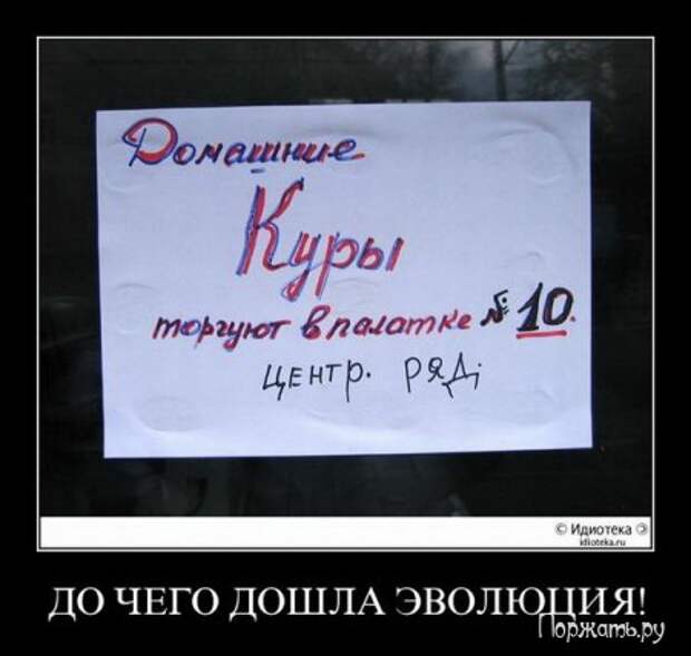 Димативаторы, новые прикольны 25 фото