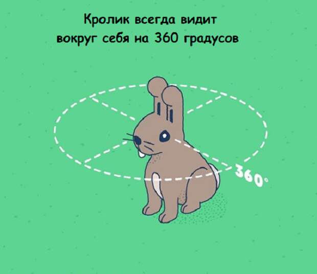 www.vsyako.net